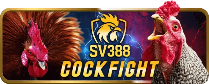 Hỗ trợ và câu hỏi thường gặp về khuyến mãi 33win1